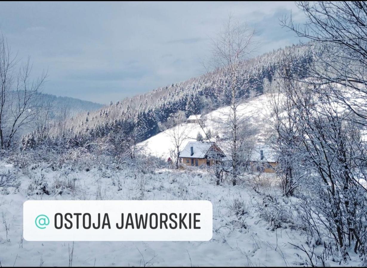 Ostoja Jaworskie Stryszawa Exterior foto